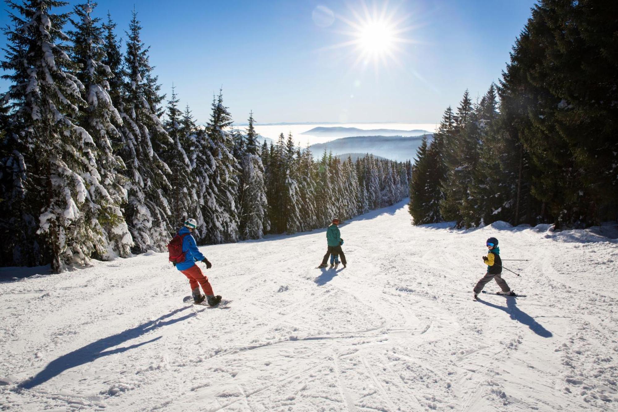 Haus Wiesenquelle - Fewo 14 "Timeout", Feldberg Rinken Zewnętrze zdjęcie